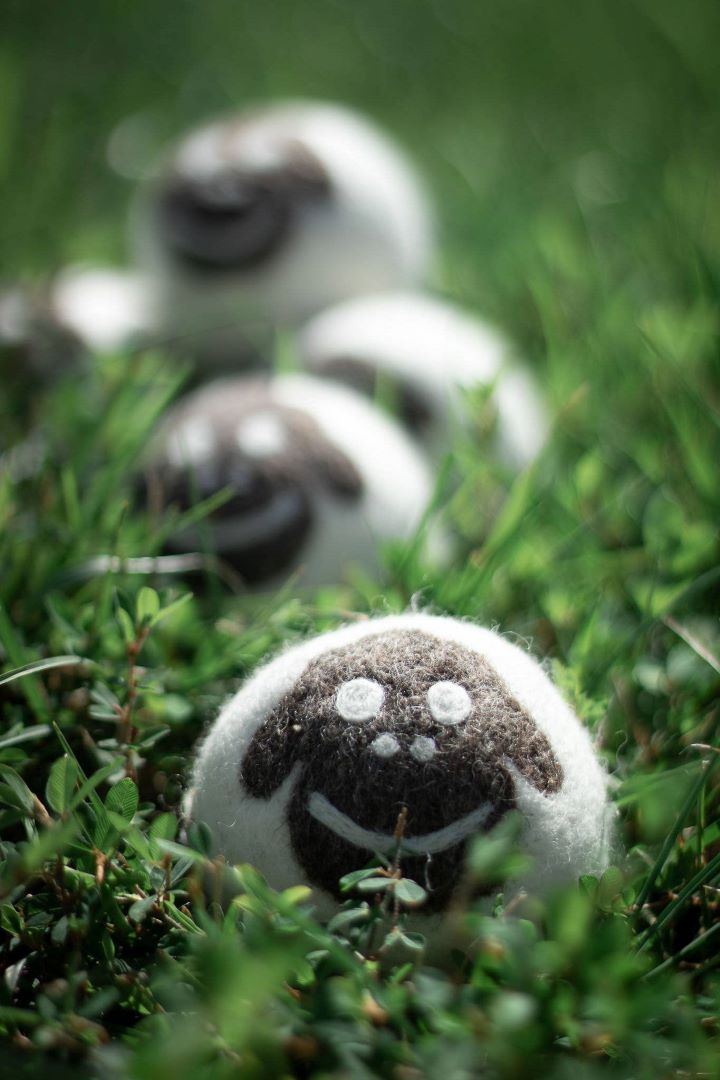 Eco Dryer Balls - Set of 3 - Sheep Trio, New Zealand