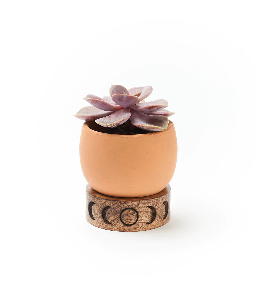 Terracotta Plant Pot with Mango Wood Stand - Small Moon Phase, India