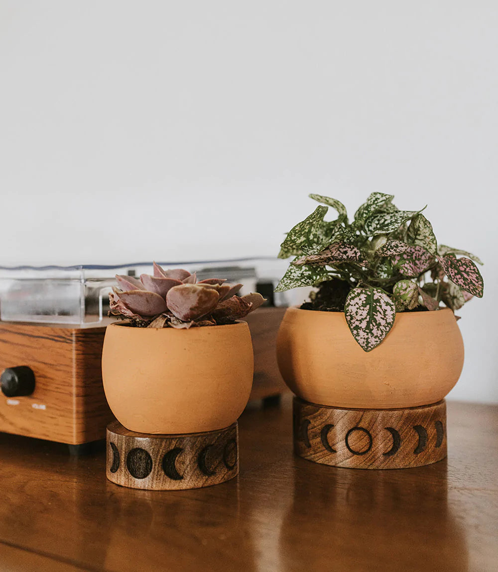 Terracotta Plant Pot with Mango Wood Stand - Small Moon Phase, India