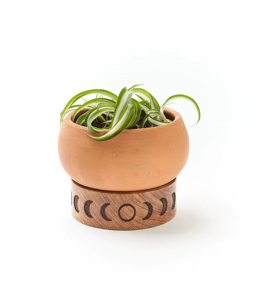 Terracotta Plant Pot with Mango Wood Stand - Medium Moon Phase, India