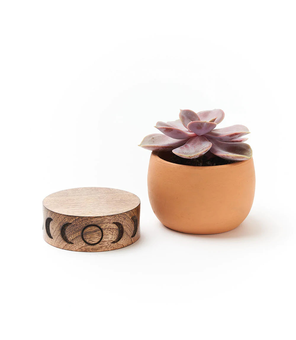 Terracotta Plant Pot with Mango Wood Stand - Small Moon Phase, India