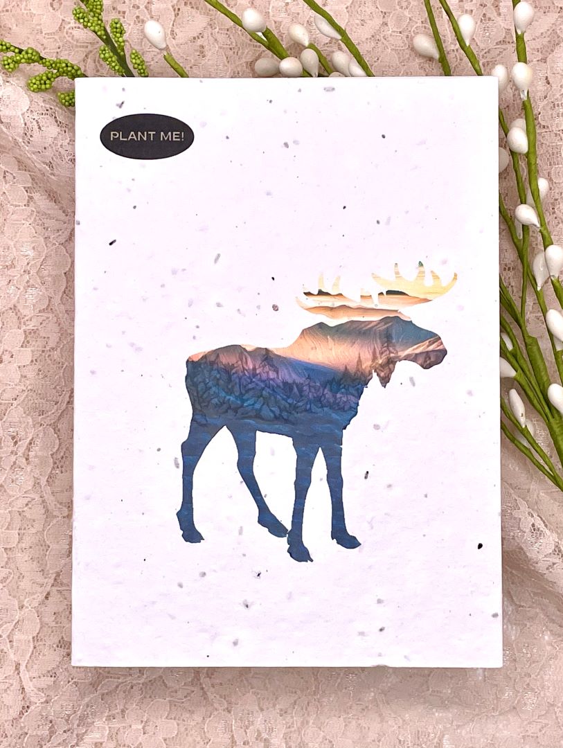 Moose Plantable Greeting Card, Canada