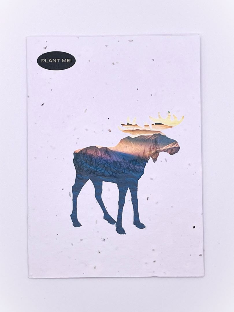 Moose Plantable Greeting Card, Canada