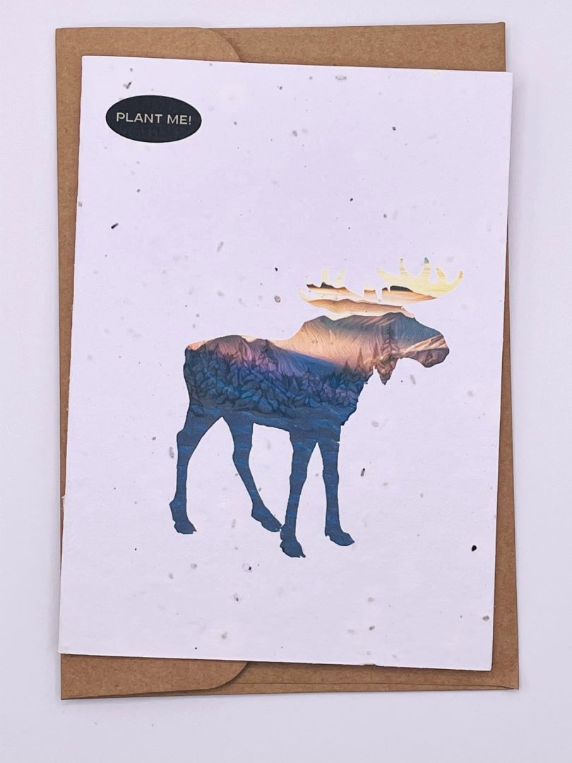 Moose Plantable Greeting Card, Canada